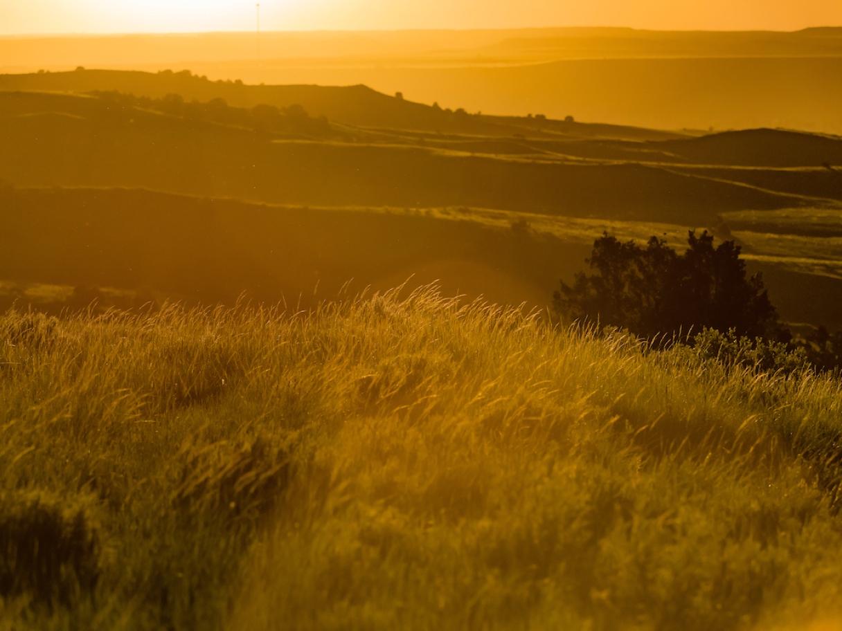Plains Scenic View