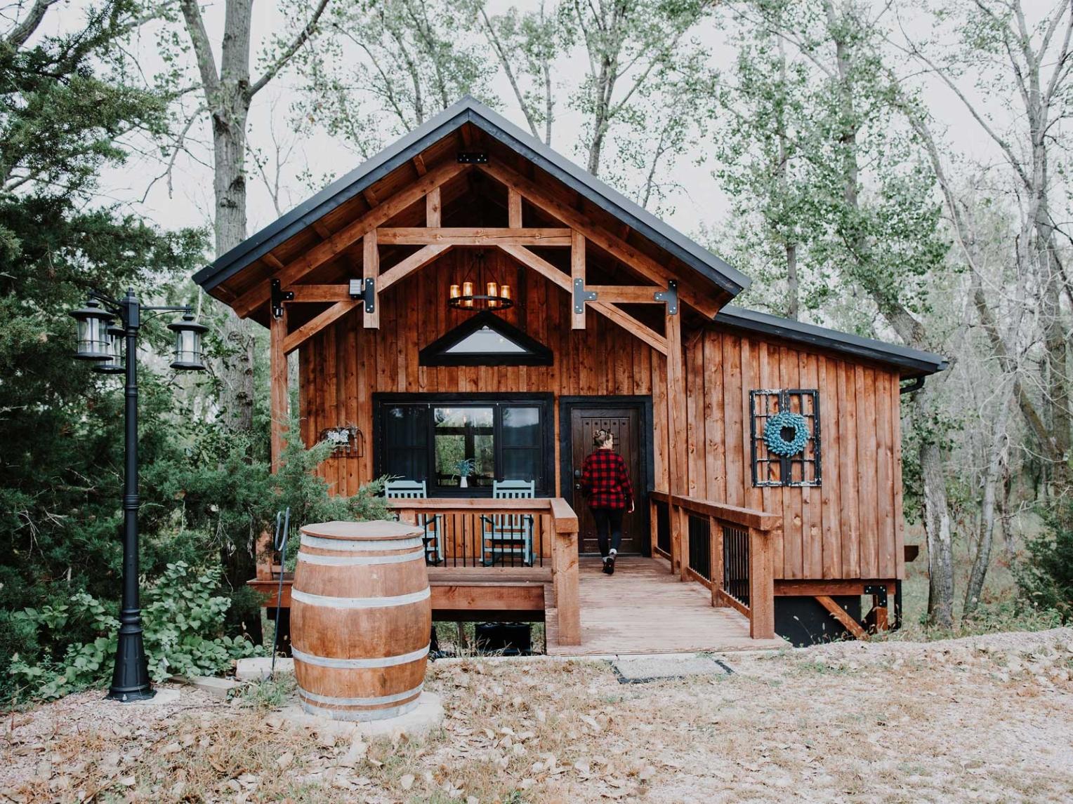 treehouse-05-2024-tb.jpg
