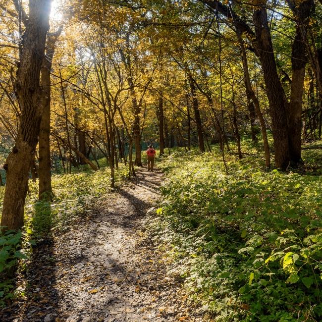 Newton Hills State Park