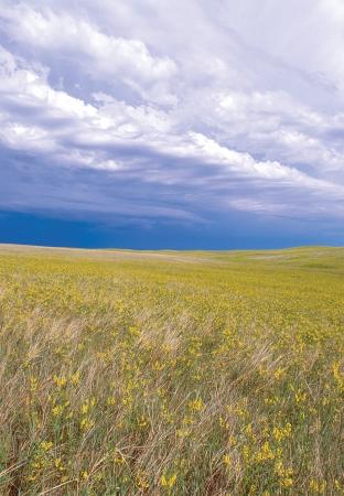 Prairie sous un ciel bleu dans la région des Glacial Lakes